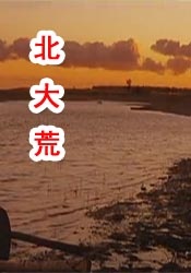奇米77